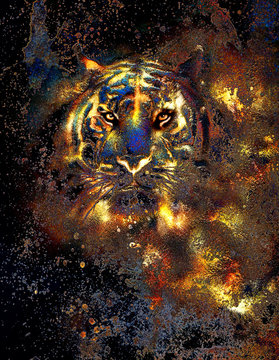  tiger collage on color abstract  background,  rust structure, wildlife animals, golden effect. computer collage.