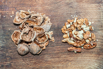 walnuts and nutshells