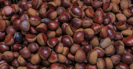 A group of chestnuts. pattern