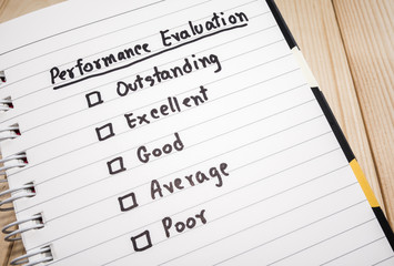 Performance Evaluation check box 1