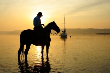 Rider on a horse at sunrise