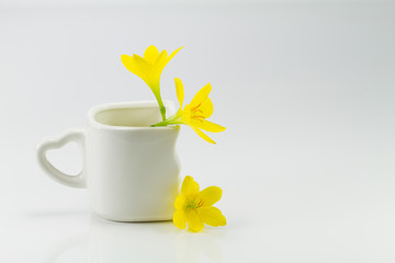 Yellow flowers and white cup on the white background
