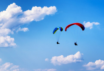 paraglider