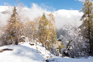 Winter und Herbst Landschaft