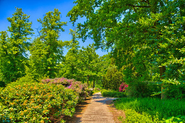 Green grass in a sunny park, Begren op Zoom, Holland, Netherla
