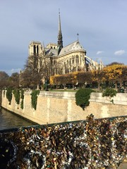 Parigi, la cattedrale di Notre Dame