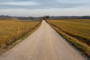 Countryside dirt road