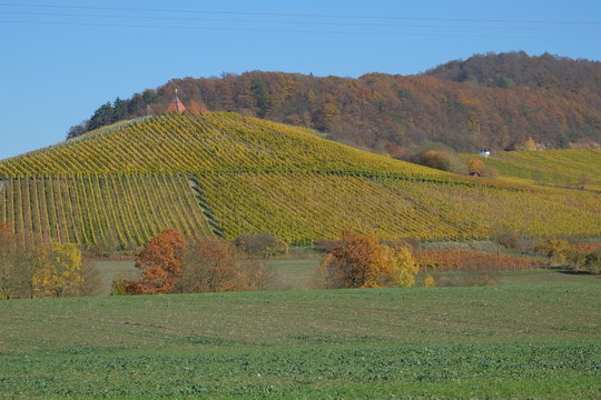 Weinberge rund um Oberschwarzach im Steigerwald, Landkreis Schwe