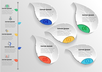 Infographic banners Templates for business .Vector  Leaf