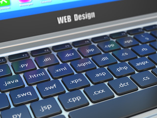 Web design development concept, Programming or SEO  termnes on t