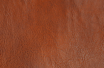 Natural leather background