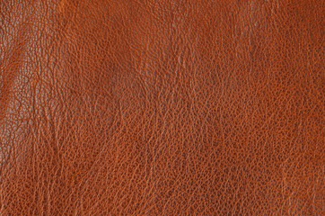Natural leather background