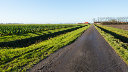 Fototapeta na wymiar Agricultural landscape on a sunny day in autumn