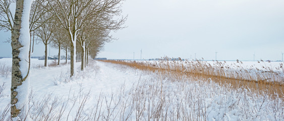 Countryside covered in snow in winter