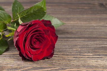 Red rose flower on a wooden background.