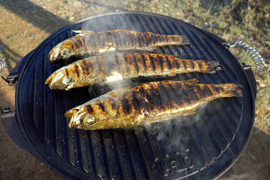 Grillsaison