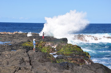 Fototapeta na wymiar Ile de la Réunion - Marine Vincendo