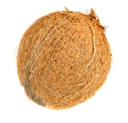 Whole coconut isolated