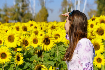 Woman looking for someone in the field of sunflowers