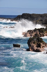 Ile de la R&eacute;union - Marine Vincendo