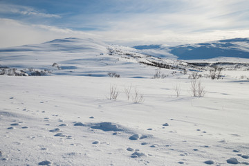 Fototapeta na wymiar Winterlandschaft in Schweden