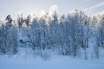 frozen lake in sweden