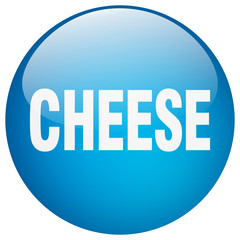 cheese blue round gel isolated push button