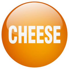 cheese orange round gel isolated push button