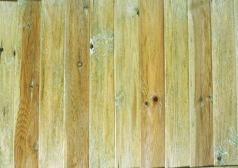 Faded wood panels with knots, and white and green algae decay.