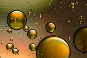 Multicolored oil and water abstract