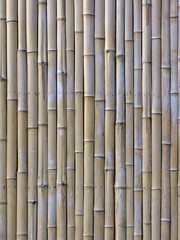 the bamboo slats background texture
