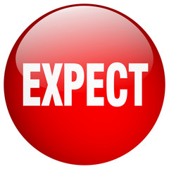 expect red round gel isolated push button