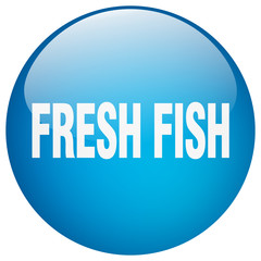 fresh fish blue round gel isolated push button