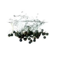 Blackcurrants splash on water, isolated on white background