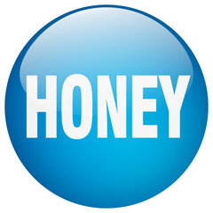 honey blue round gel isolated push button
