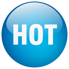 hot blue round gel isolated push button
