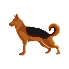 Dog German Shepherd.
Vector Illustration