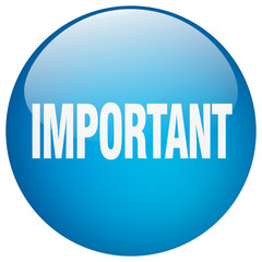 important blue round gel isolated push button