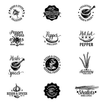 Vector set of herbs and spices labels, badges and hand drawn design elements