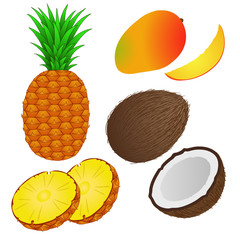 Tropical fruits. Isolated objects on white background