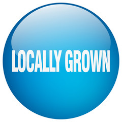locally grown blue round gel isolated push button