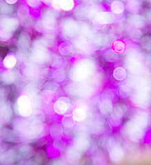 Violet-rose festive background with bokeh
