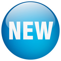 new blue round gel isolated push button