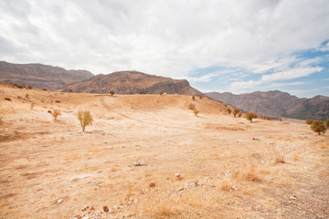 Valley with the dry trees and sandy landscape in the Middle East, and the tourists who go to nature for a picnic