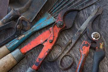 dirty tools - vintage garden tools on wooden background