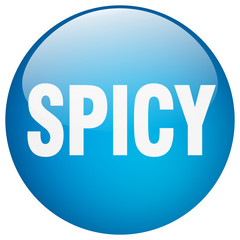 spicy blue round gel isolated push button