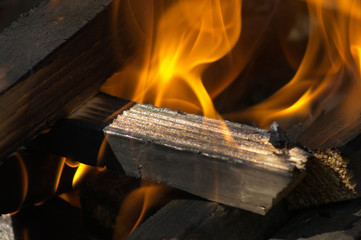 Woods in fire