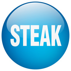 steak blue round gel isolated push button