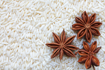 Badianes sur riz 