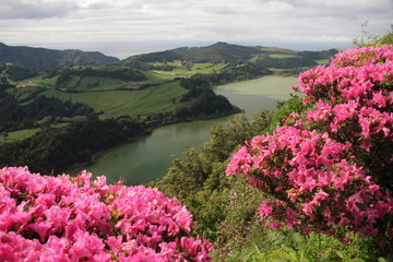 Naklejka premium Lagoa das Furnas - Azoren - Portugal